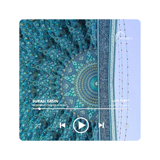 Quran Speaker Magnet: Yasin