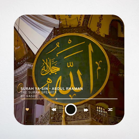 Quran Speaker Magnets